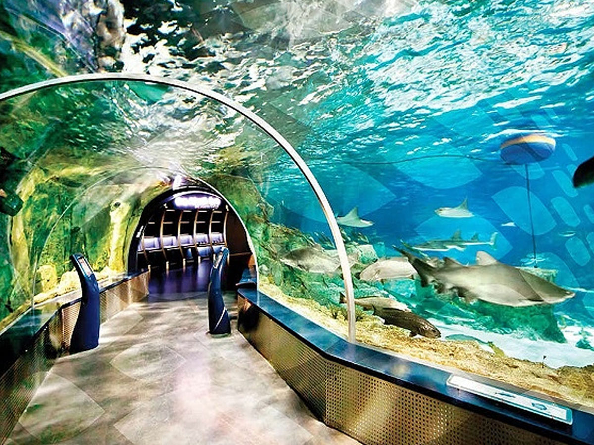 airport to aqua florya