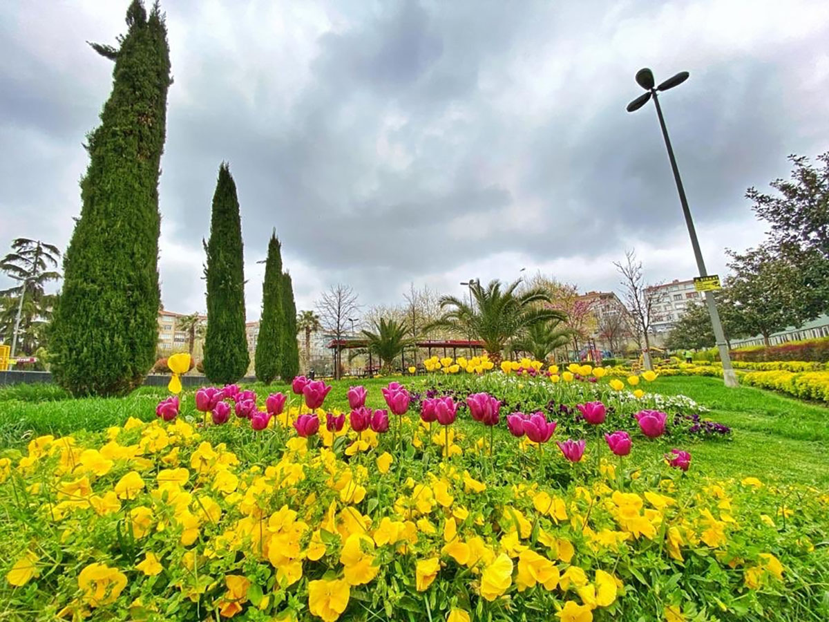 Airport transfer to Findikzade
