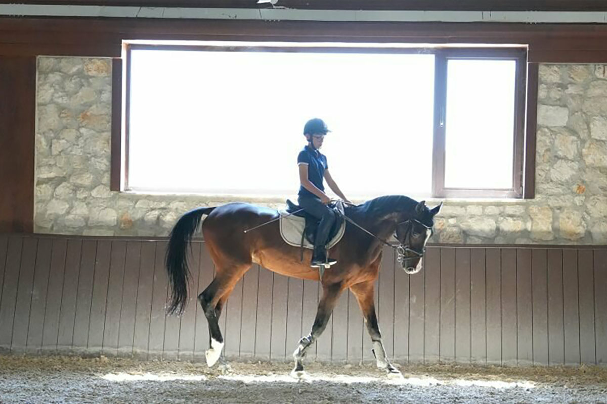 horse riding magical hotel