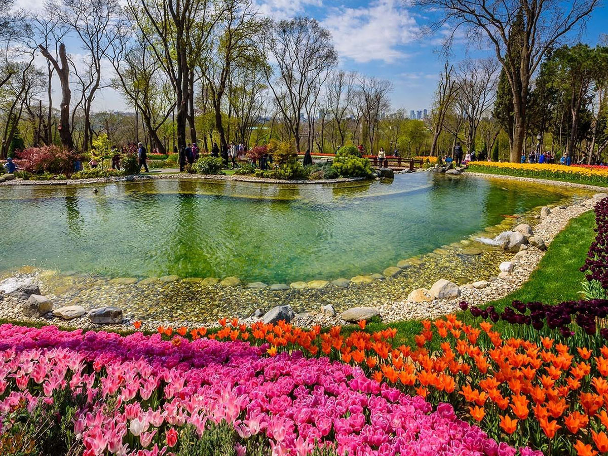 sabiha gokcen to emirgan transfer