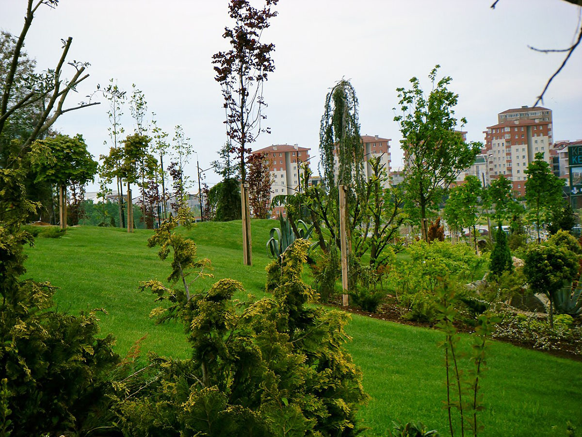 transfer to beykent