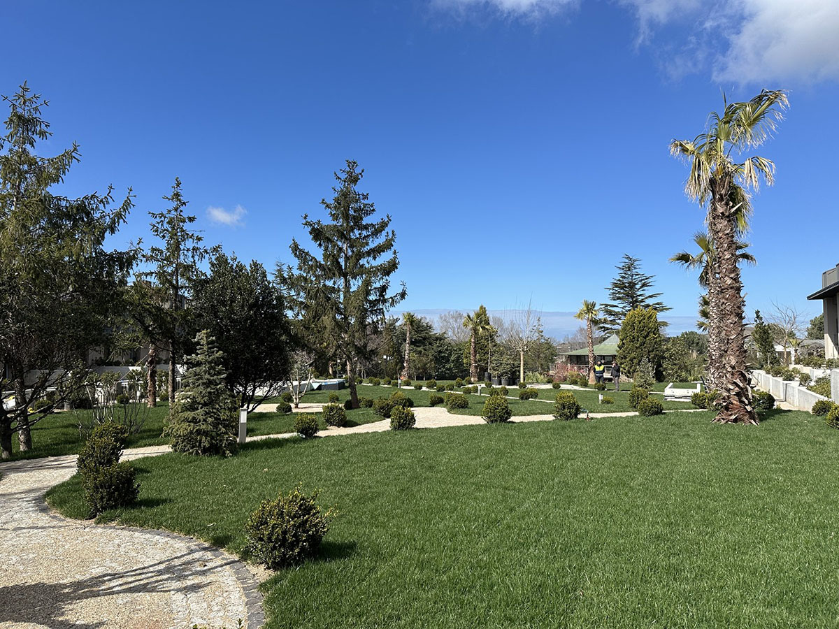 Transfer to Zekeriyakoy